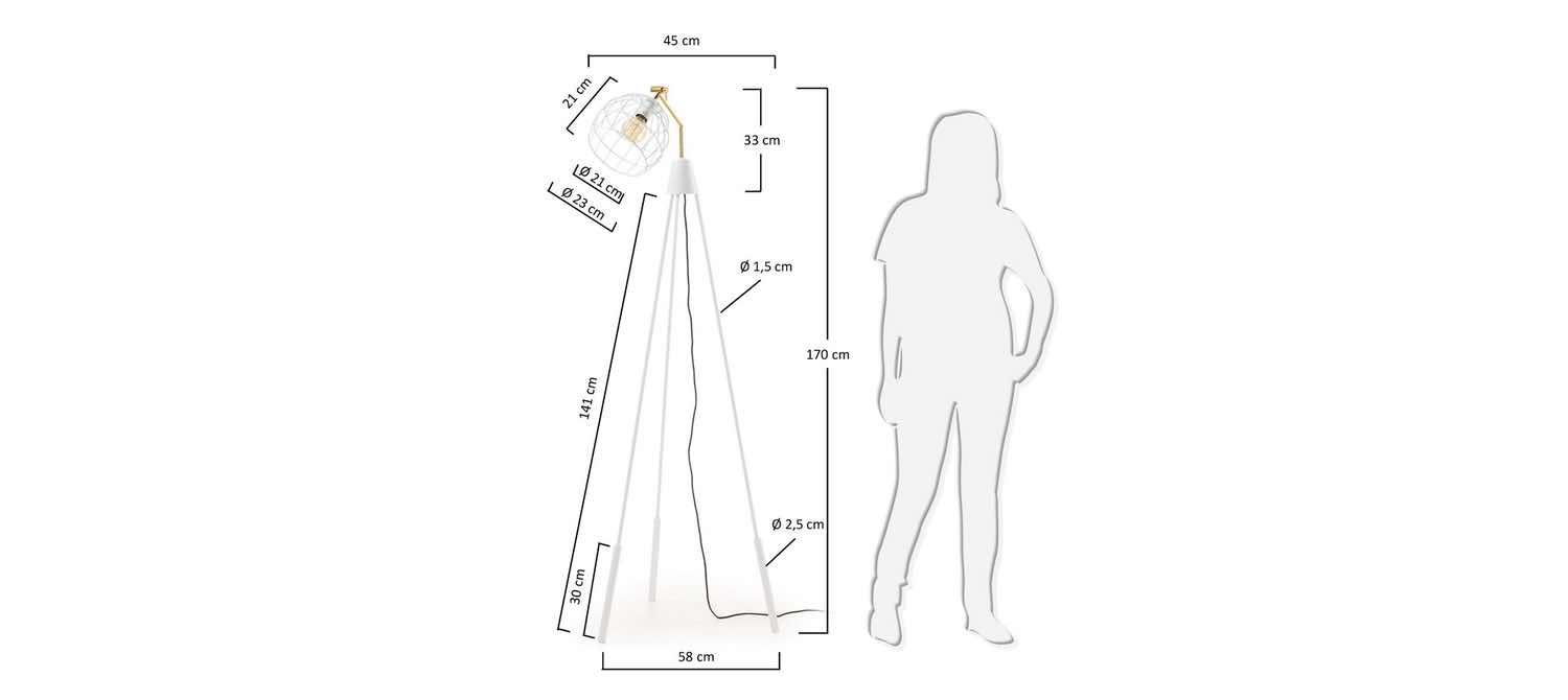 Savino Dimensions