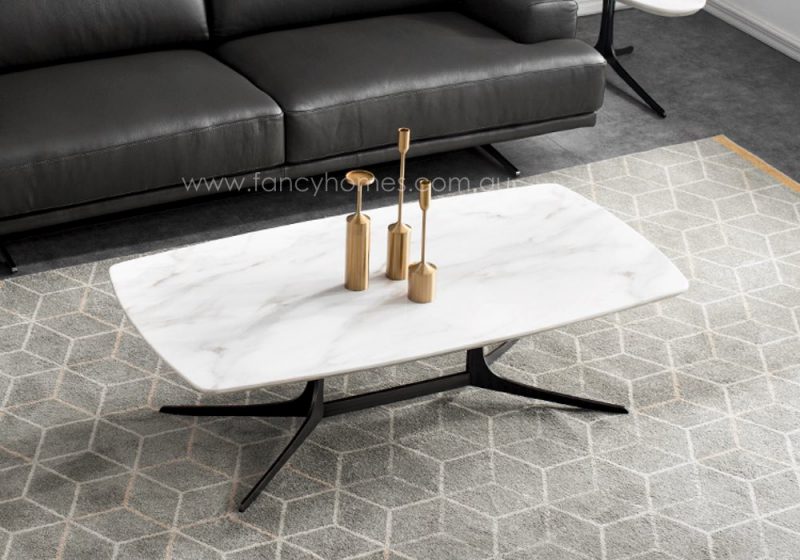 Fancy Homes Noah marble top coffee table