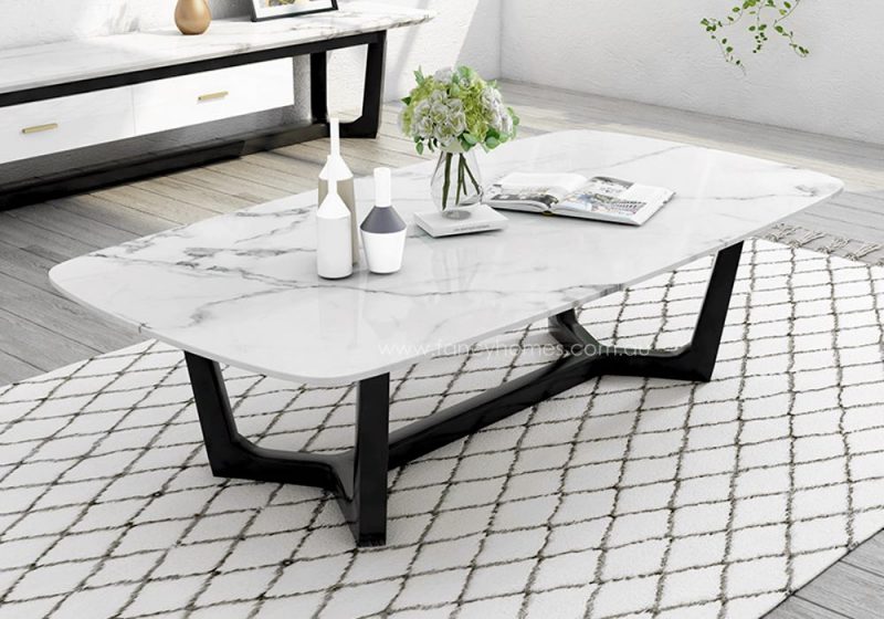 Fancy Homes Jacob marble top coffee table with Ash base