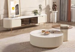 Fancy Homes Margot Round Sintered Stone Coffee Table and TV Unit Set Creamy White Colour and White Grey Top
